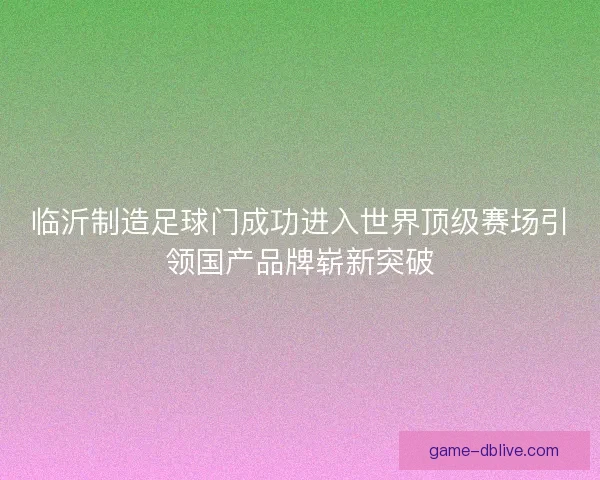 临沂制造足球门成功进入世界顶级赛场引领国产品牌崭新突破