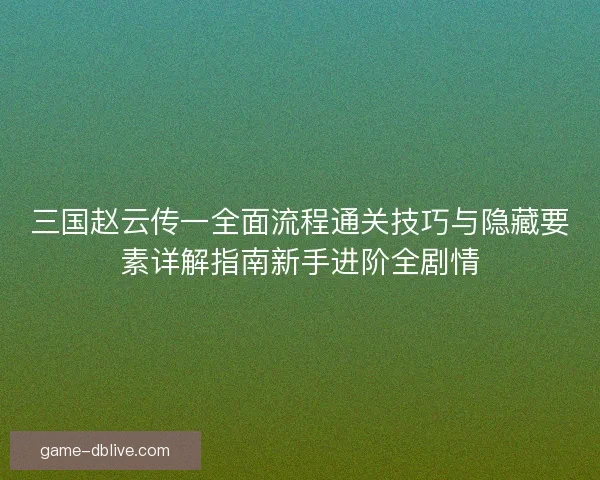 三国赵云传一全面流程通关技巧与隐藏要素详解指南新手进阶全剧情